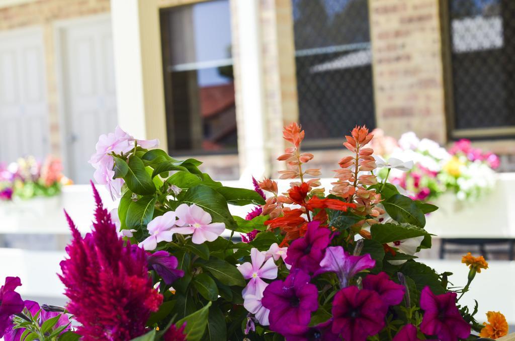 Golden Beach Motor Inn, Caloundra Buitenkant foto